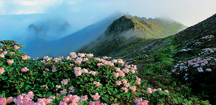 苍山 苍山